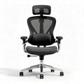 Mesh ergonomic office chair with adjustable lumbar support and chrome base